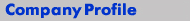 Corporate Profile
